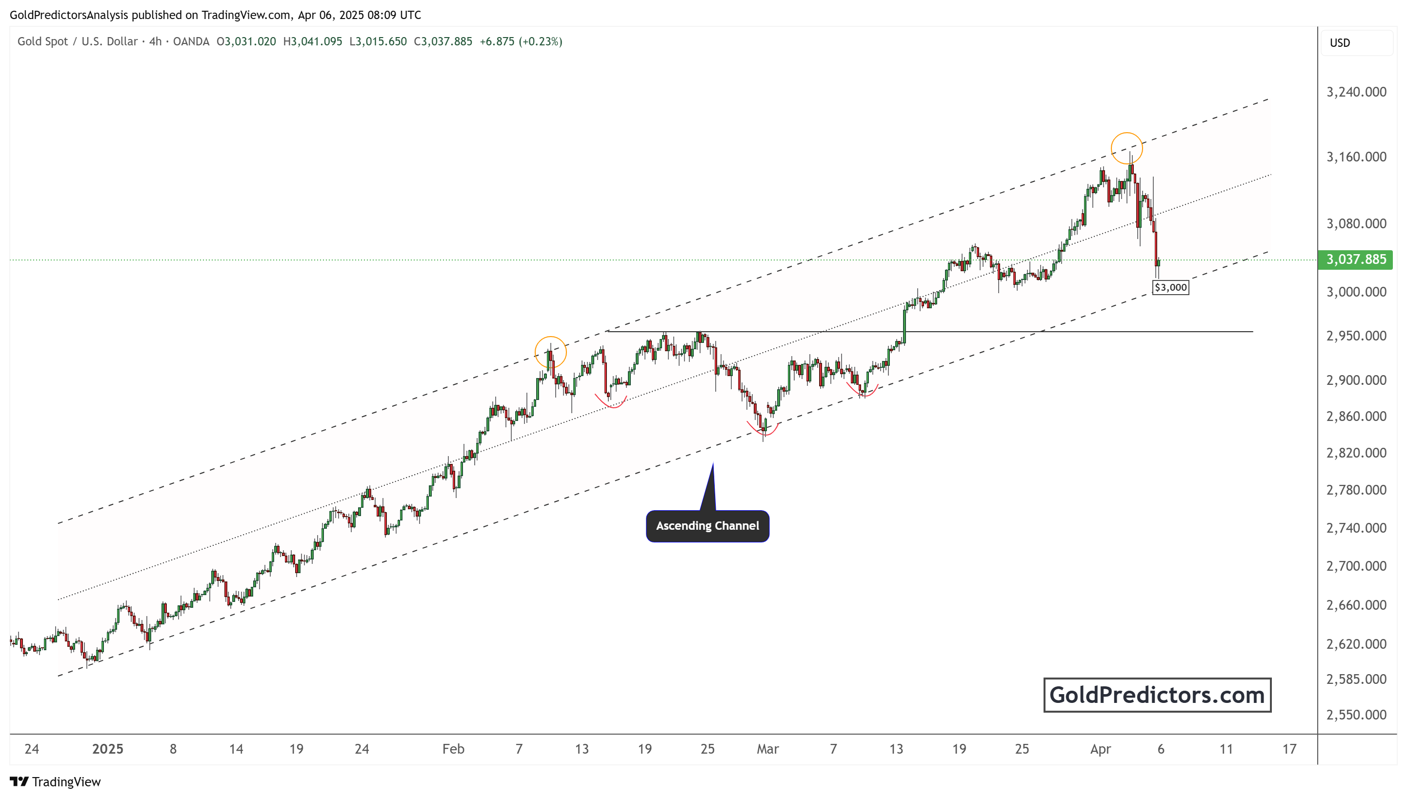 黄金在经济波动中稳步上升
